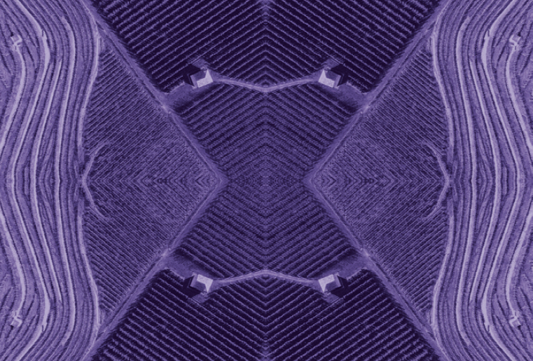 El espacio de vinificación